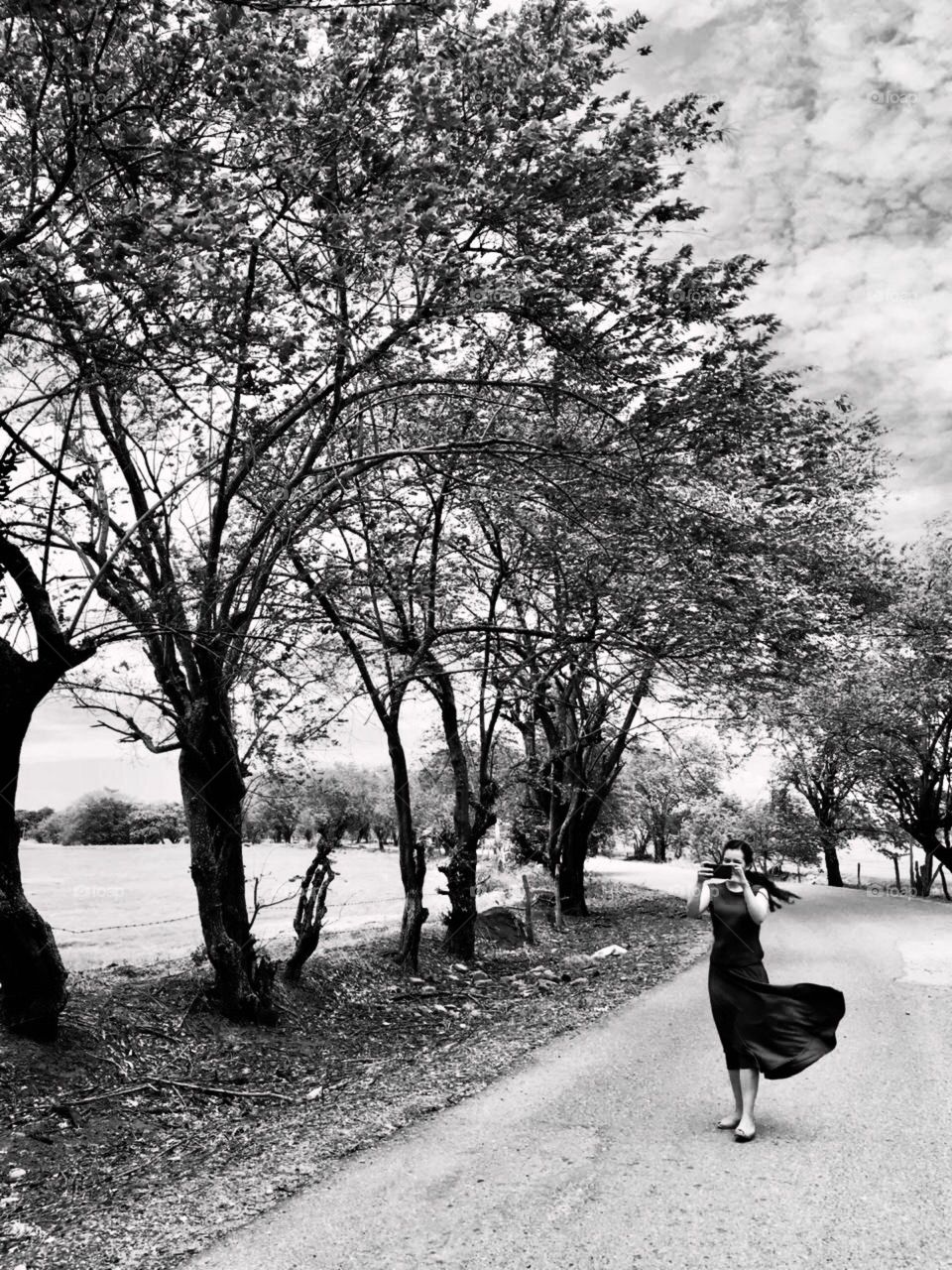 Paisaje llano, árboles, color y sin color. Perspectivas 