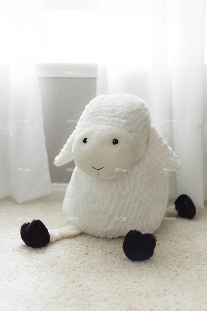Sheep plush