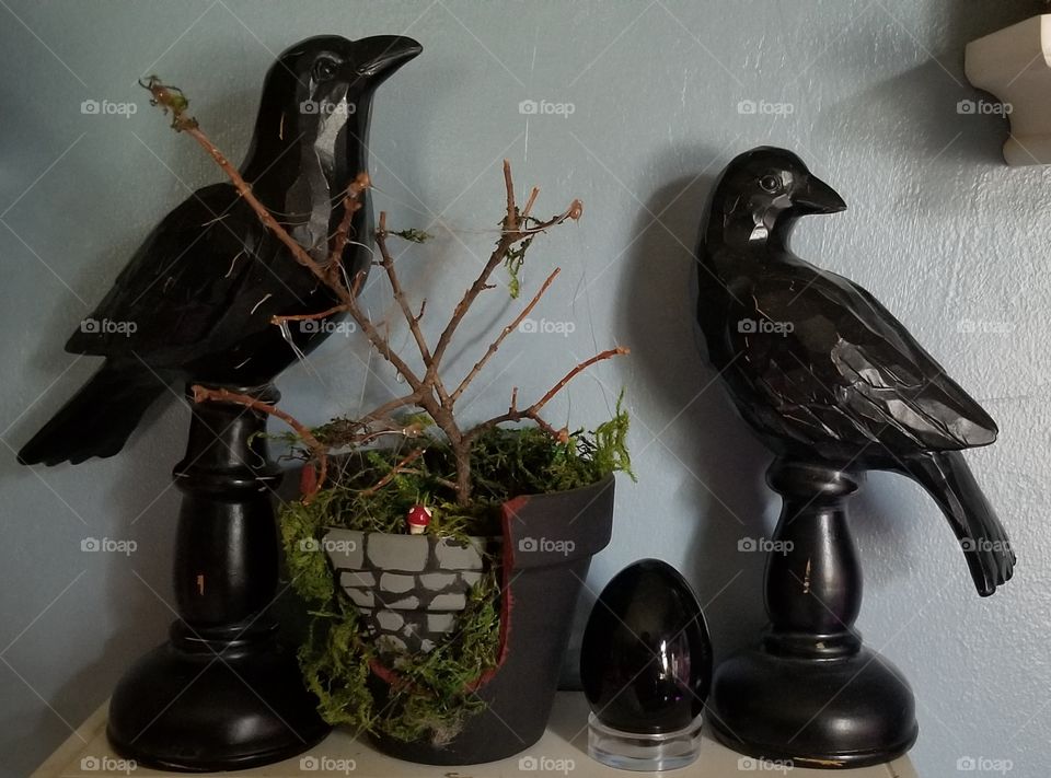 Crows in gloom