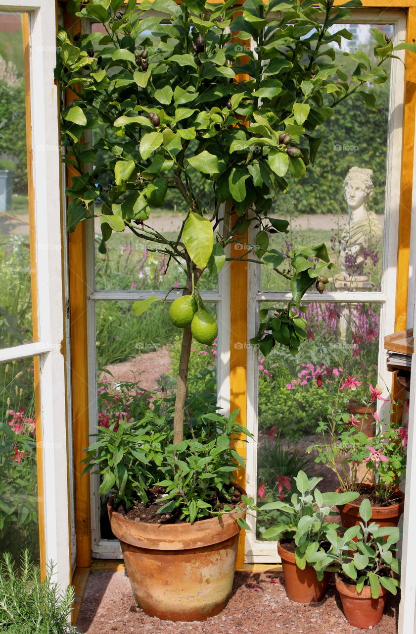 Gardening house.