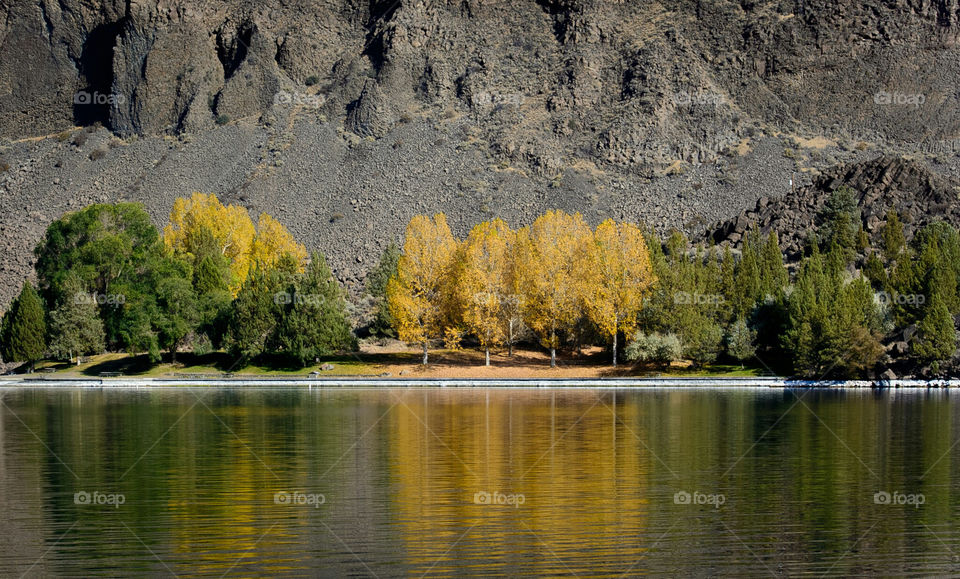 Fall Colors on the Lake of Lake Billy Chinook Central Oregon