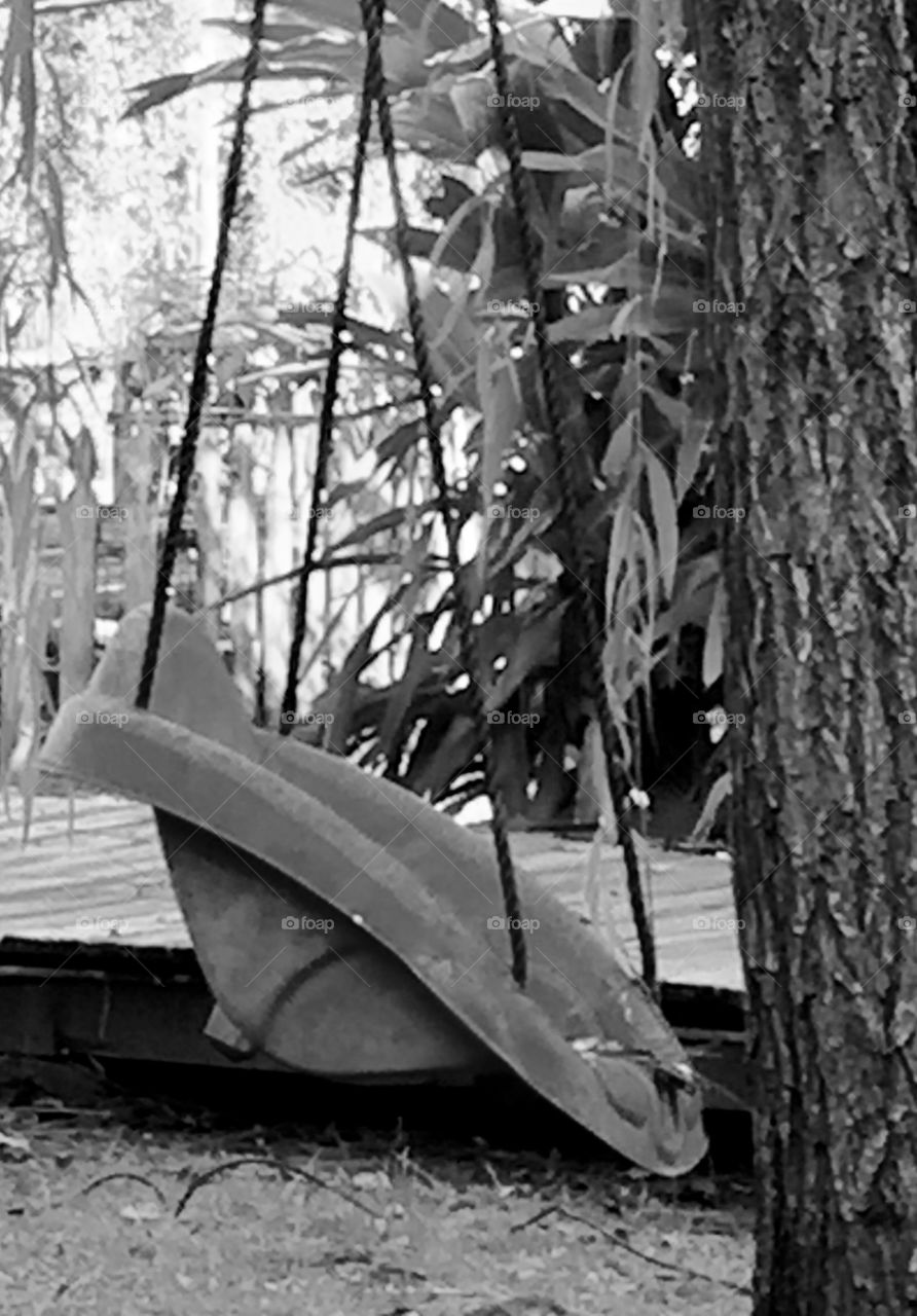 Black and white baby swing in a tree