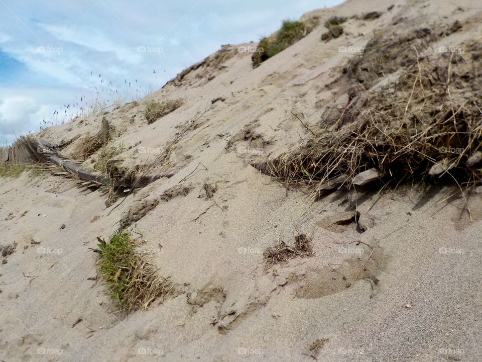 Sand near Skegness 