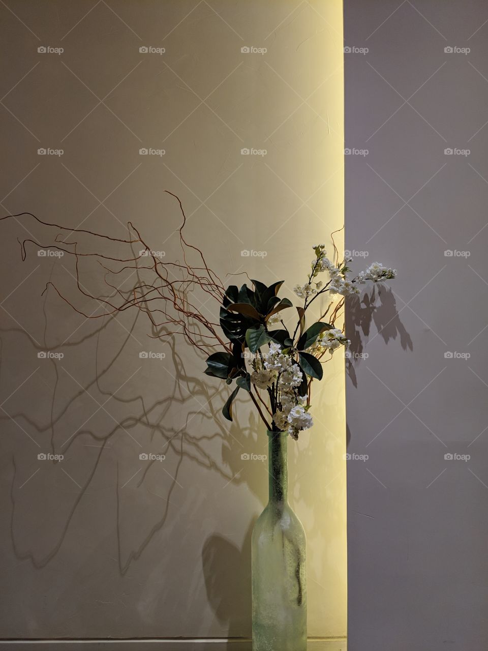 white flowers in vase with background lighting and shadows