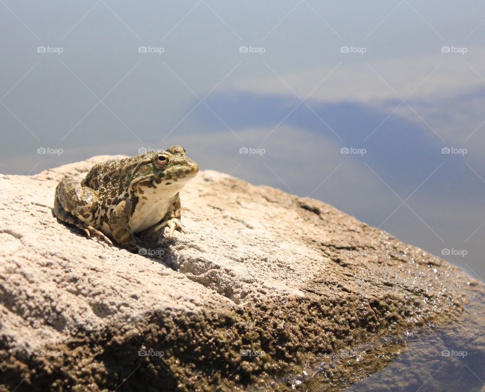 Slightly in the sun!