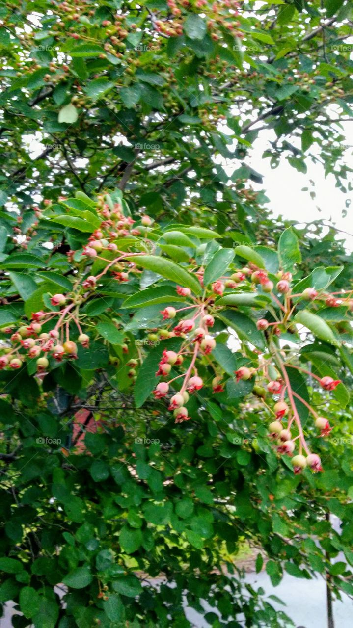 spring time. summer time