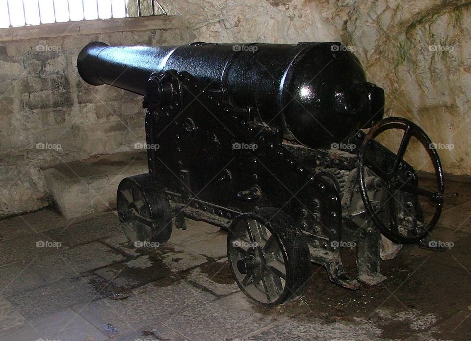 Cannon 
