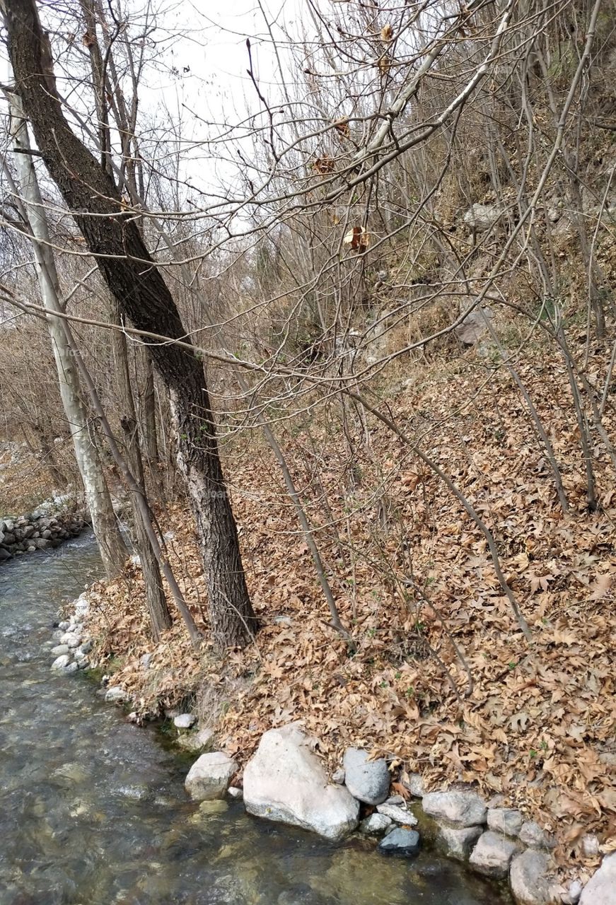 water fall and autumn