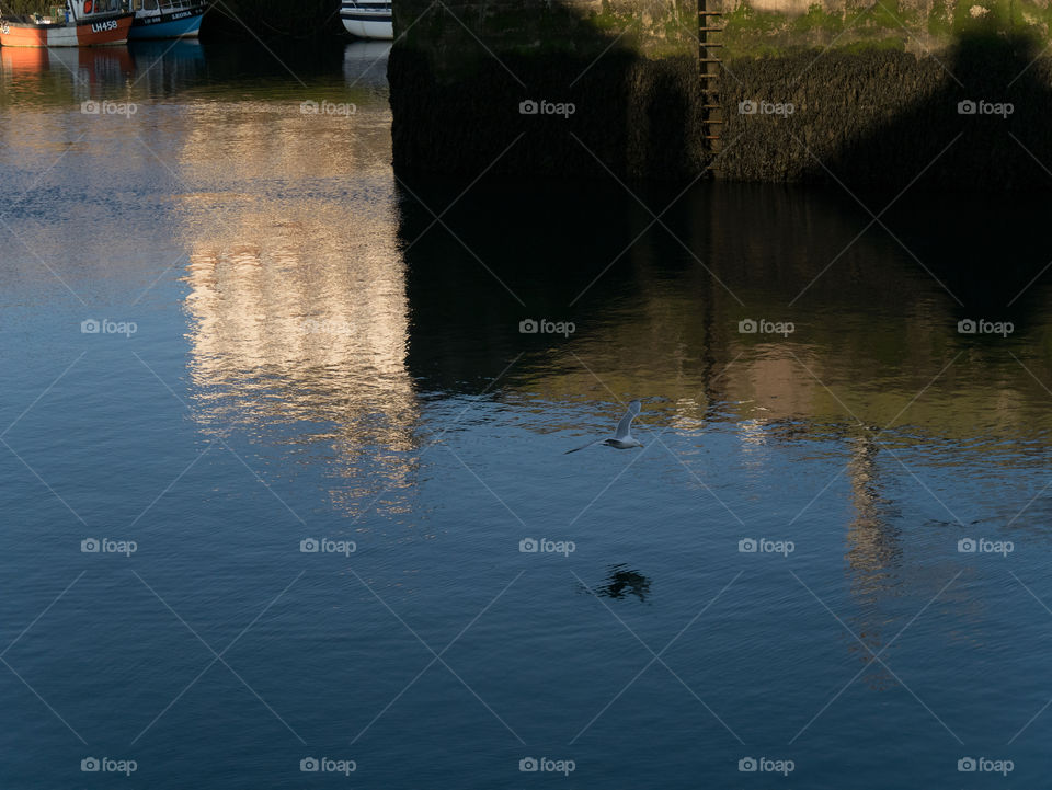 Reflection on the water