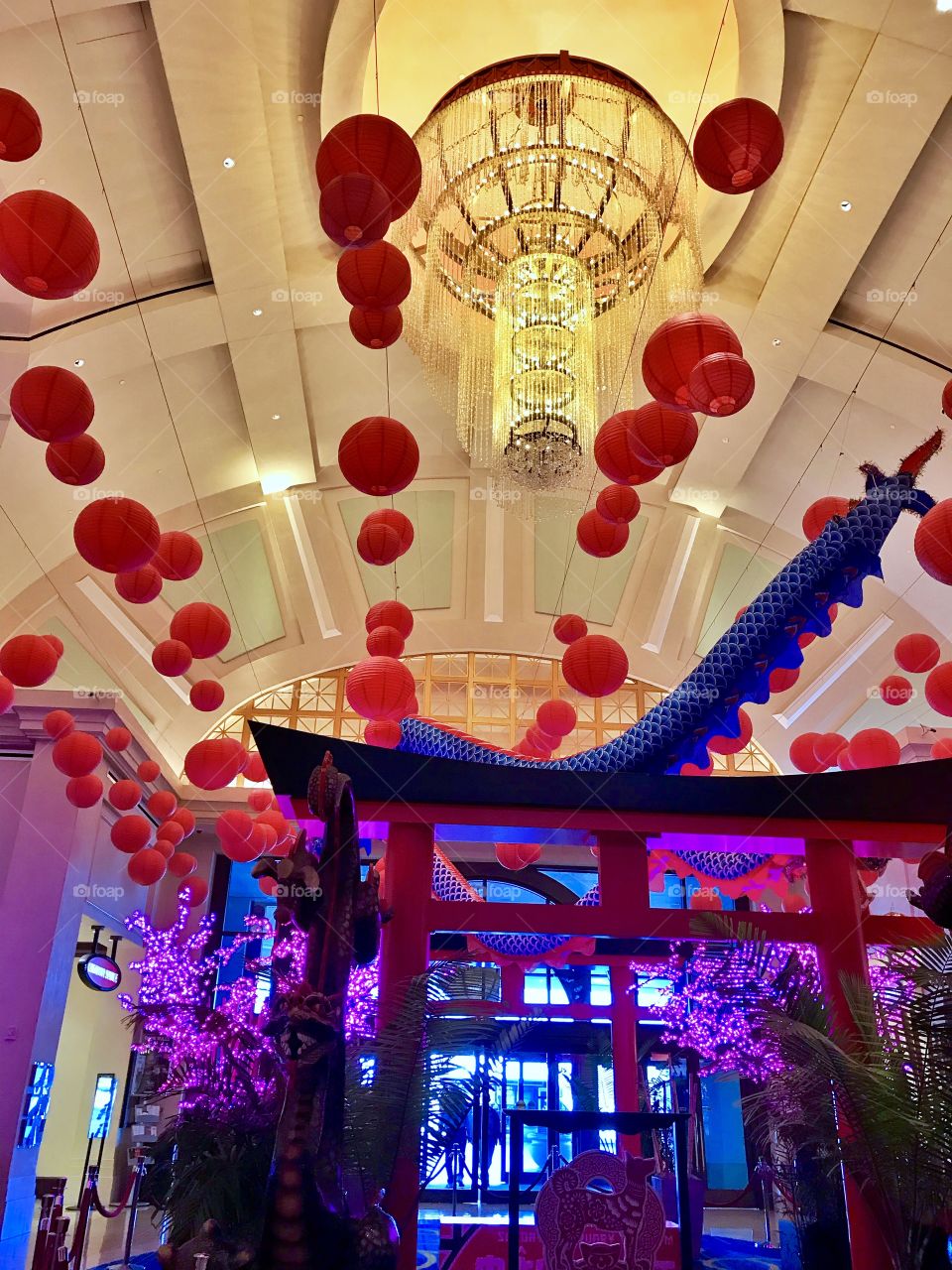 Lunar Year 2018 Year Of The Earth Dog 