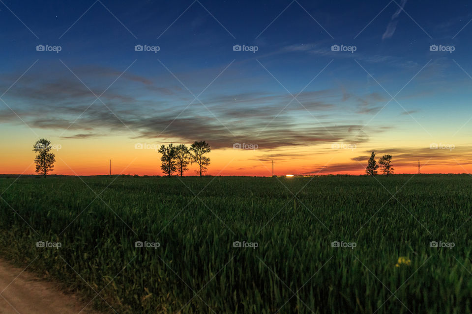 Sunset on a green field