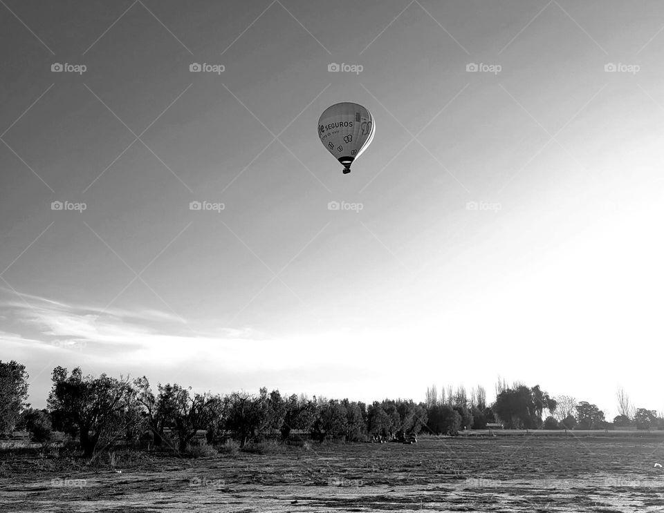 globo en blanco y negro