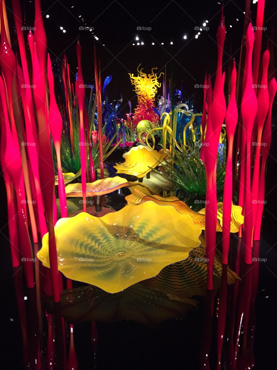 Chihuly Glass Garden, Seattle