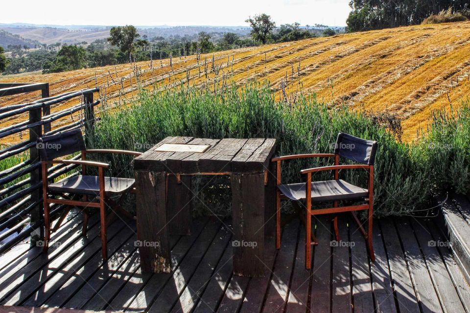 First signs of Autumn