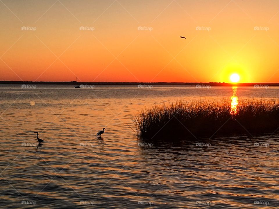 Sunset, Dawn, Water, Sun, Evening