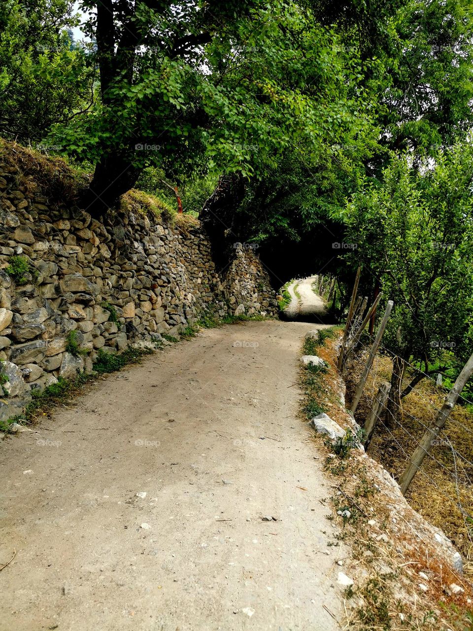 A way out to nature's beauty