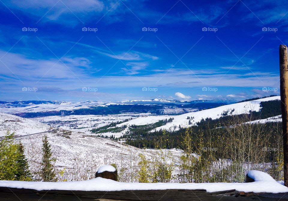 Mountain Forest Landscape