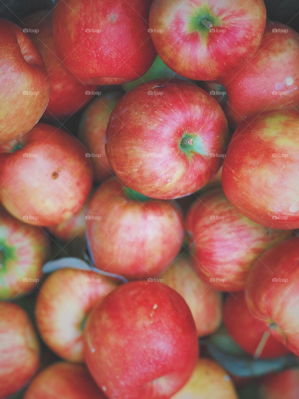 Apples In Autumn, Apples In The Fall, Freshly Picked Apples, Homegrown Apples, Apples From The Farm, Delicious Apples, Round Red Apples, Organic Apples, New York Apples