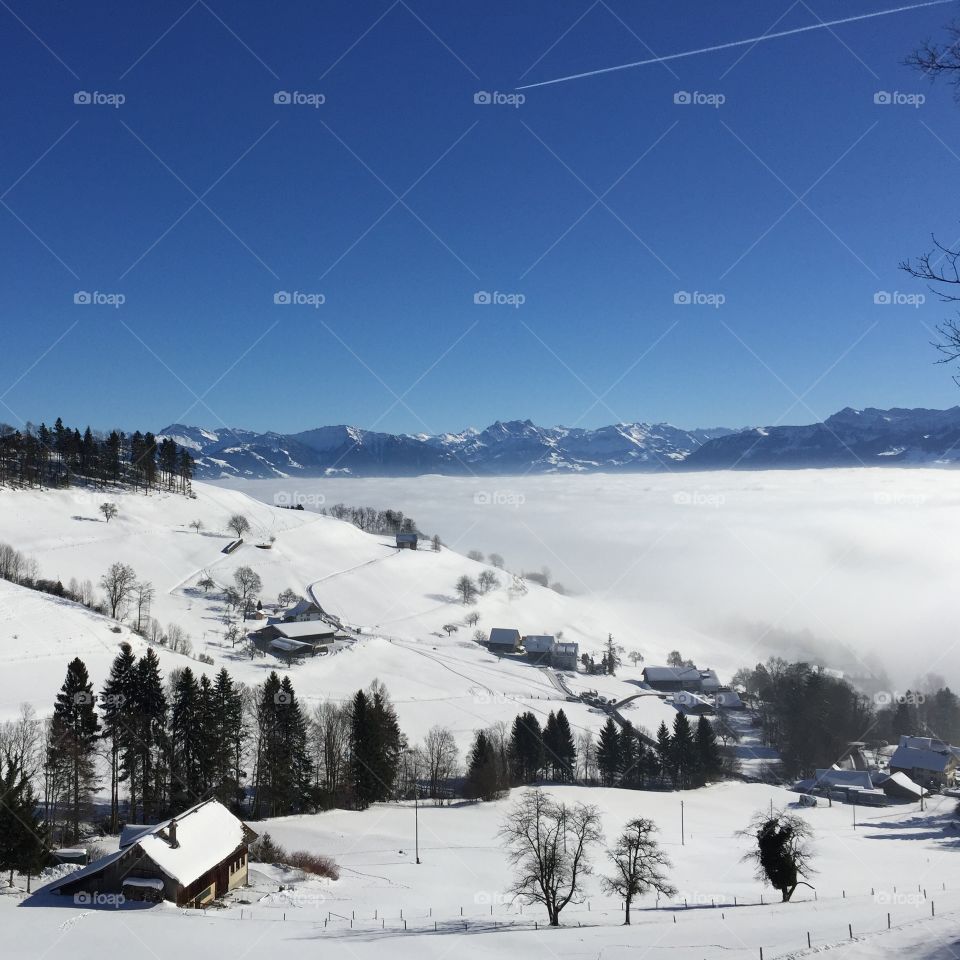 Sun, fog and snow - not sure where it ends and where it starts.