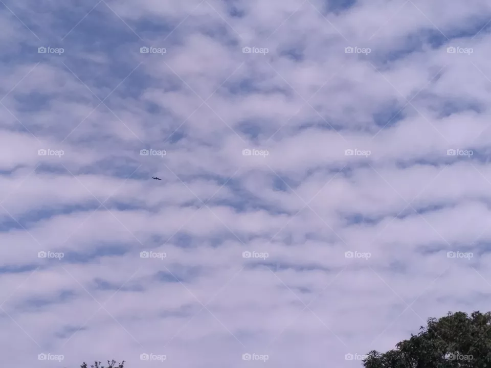 Cloudy day