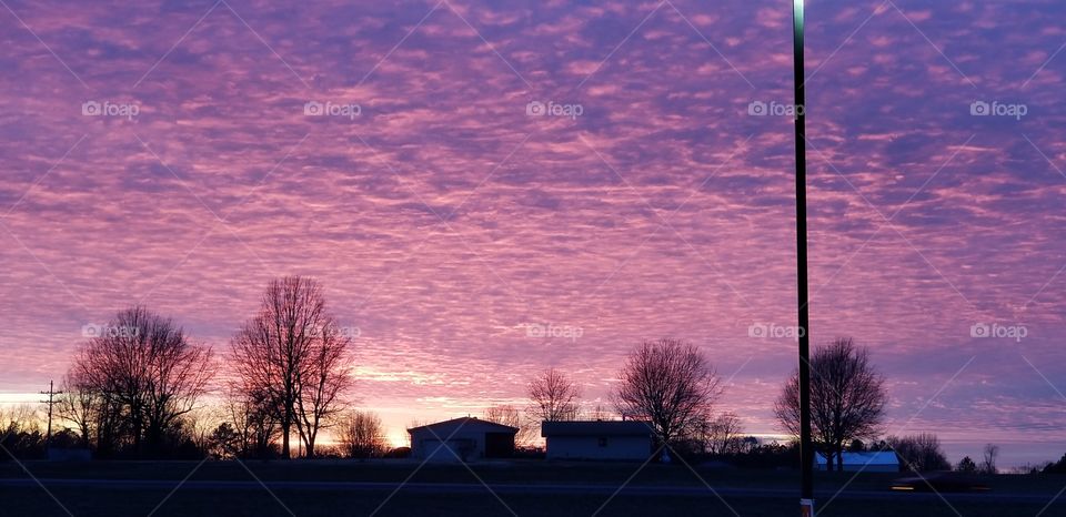 Pink and Purple Sky