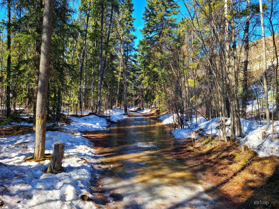 Frozen puddles as the North melts