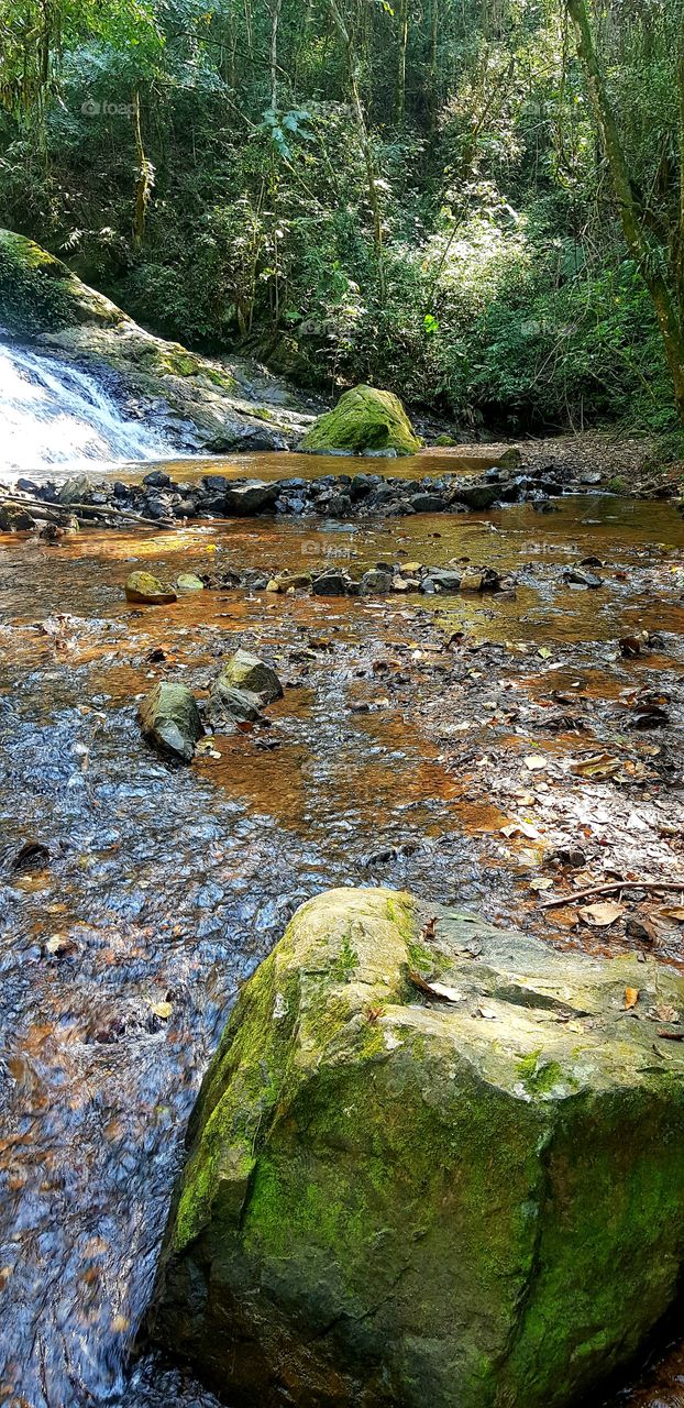river,  forest, rio, floresta,  Serra do Japi