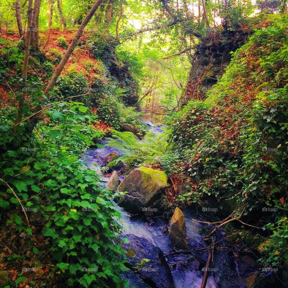 secret waterfall in Umbria