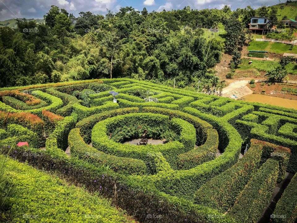 Maze Thailand 