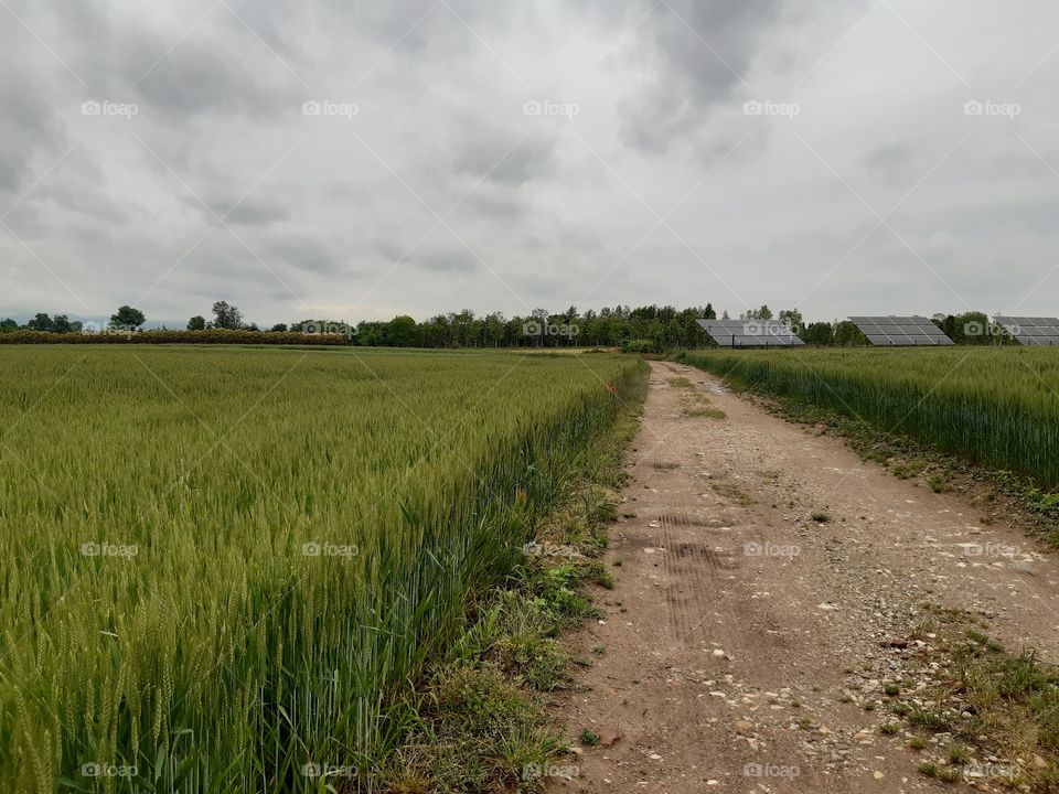 bad conditions in the country