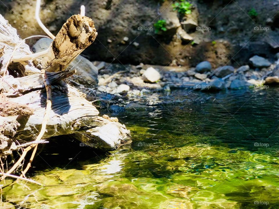 Refreshing Wilderness Stream 