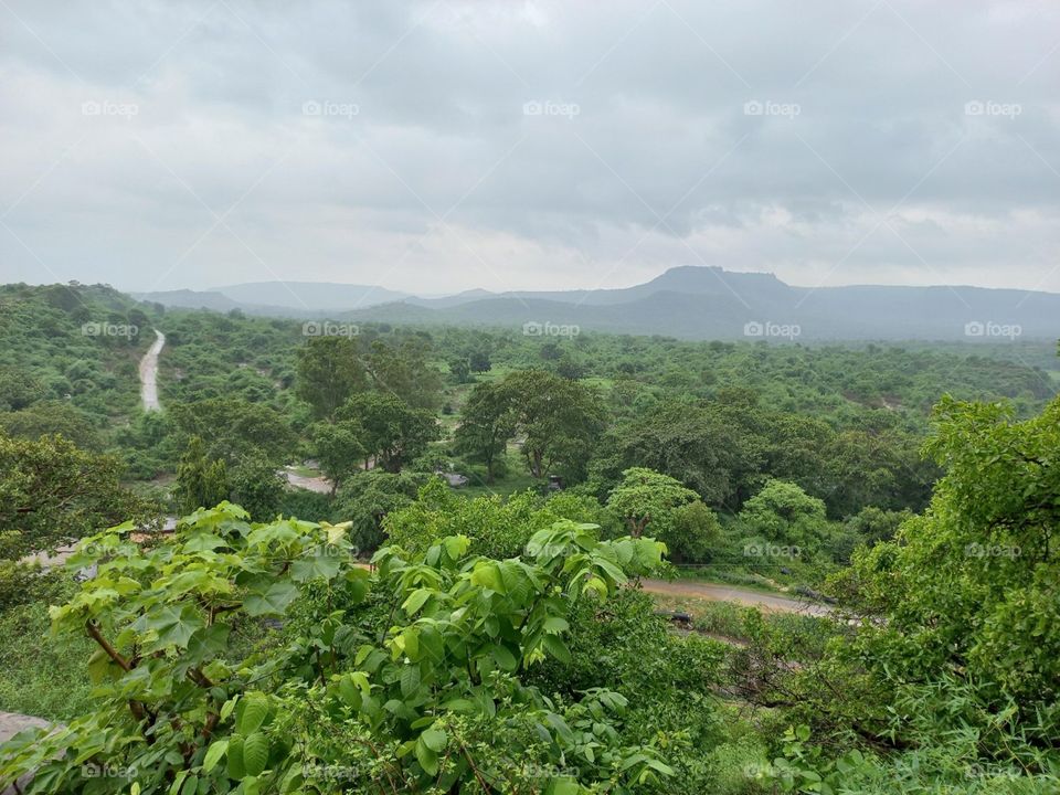 there's one place we go above all others when we need to relax it's the forest. You could say we were lovers of forest bathing before that was even a thing! Walking between old trees is almost meditative and something we try to do at least once