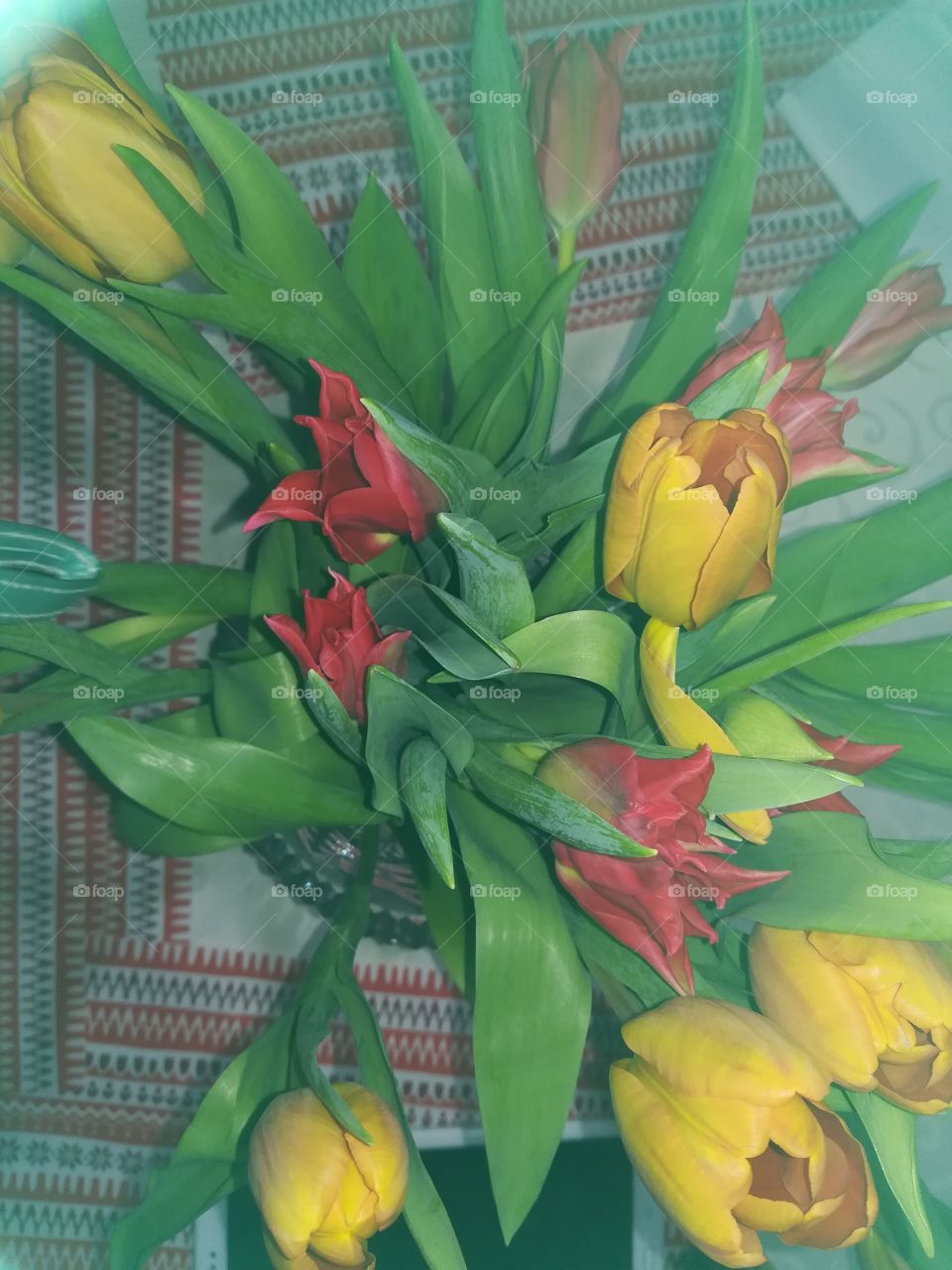 Tulips