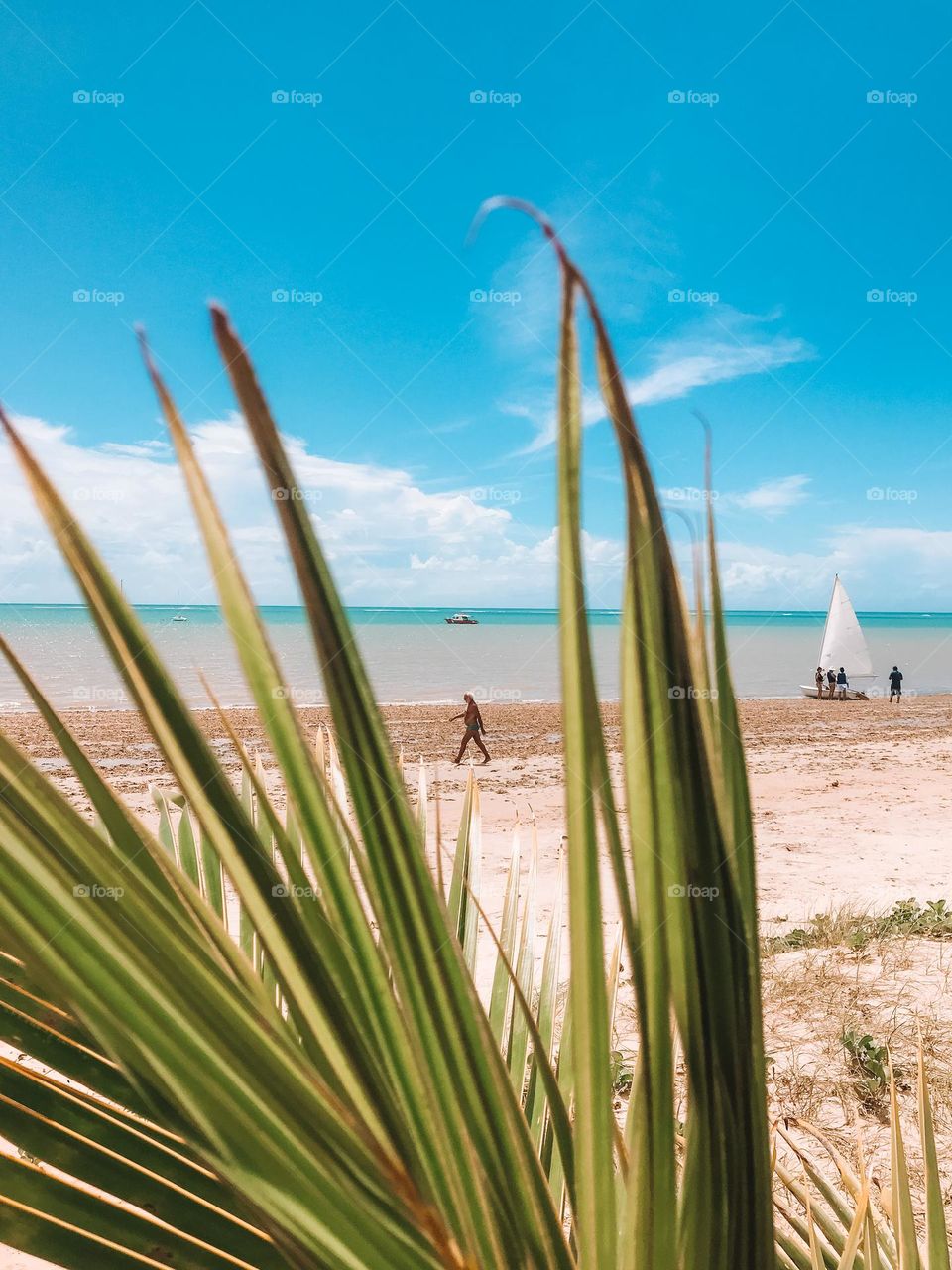 Manhã muito linda em cumuruxatiba Bahia Brasil 