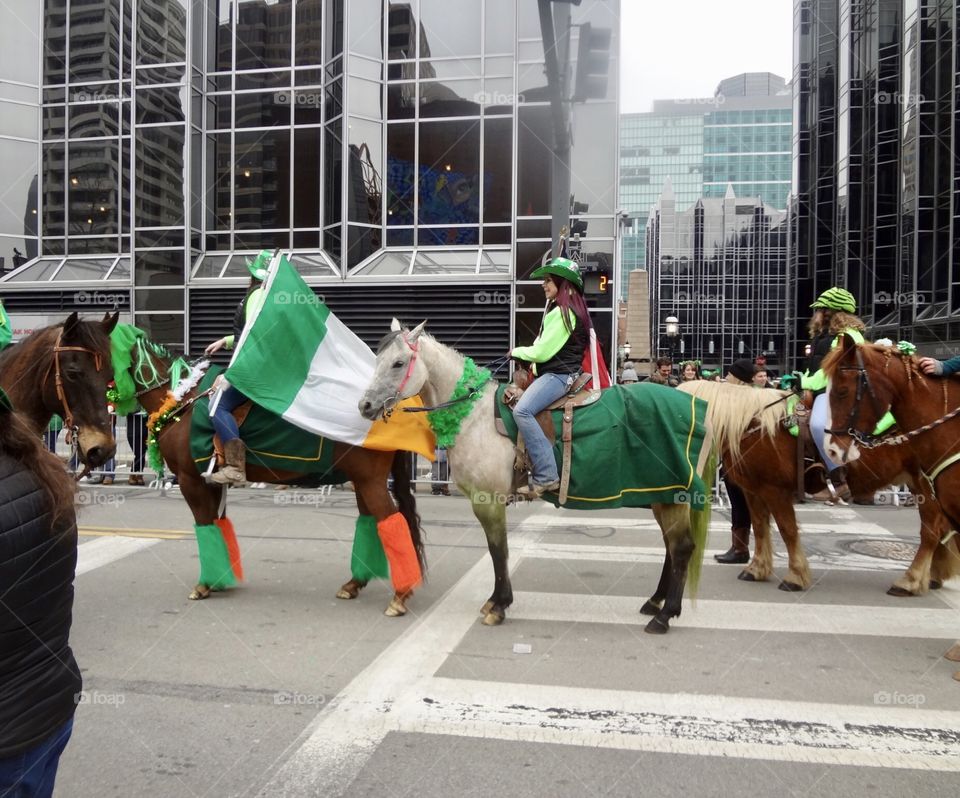Horses on St. Patty’s Day