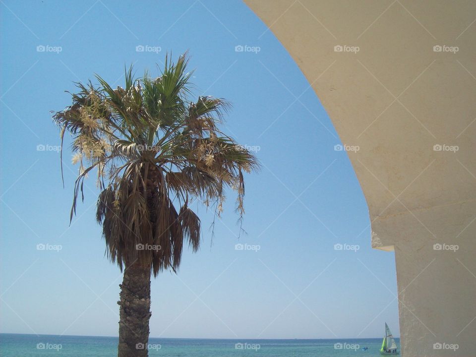 Travel in Tunisia