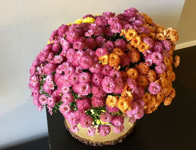 Mum Flowers