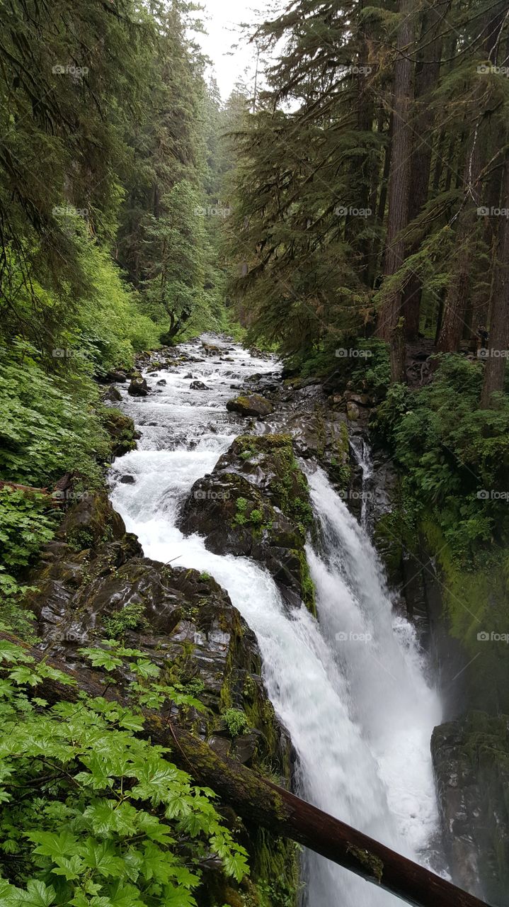 Sol Duc Falls, Olympic National Park