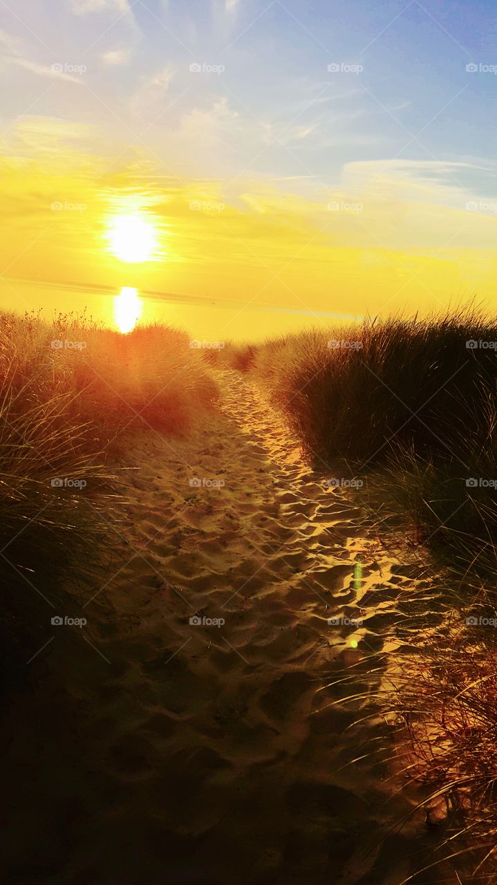 Heading to the beach in Holland