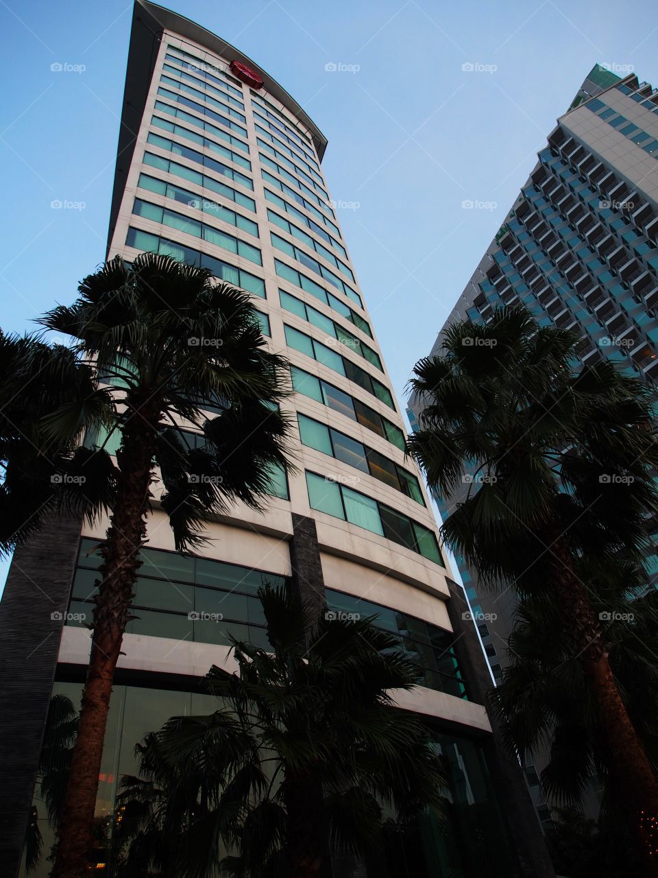 Modern building with palm trees