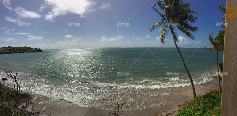 Seascape in Martinique 