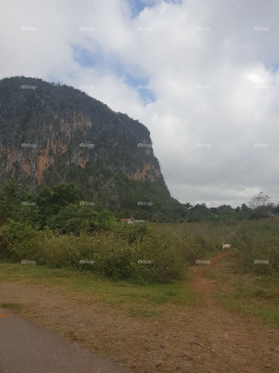 Viñales