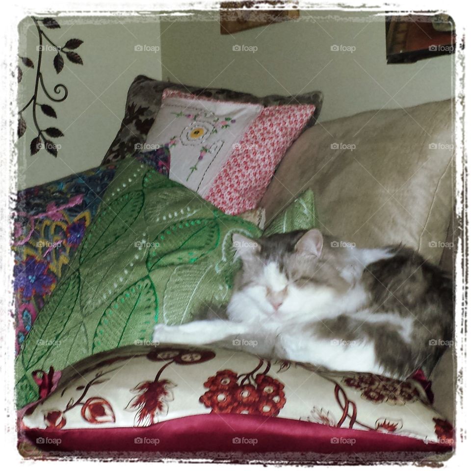 Sleepy time. Chagall sleeping