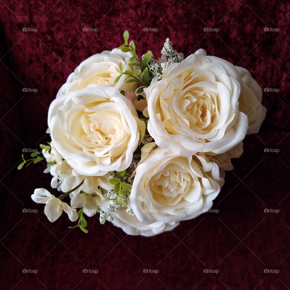 White roses on red velvet