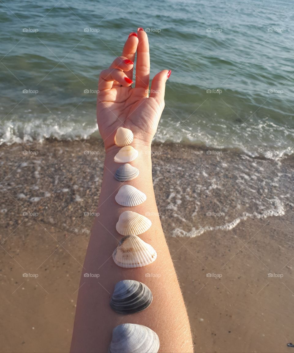 Shells on the arm