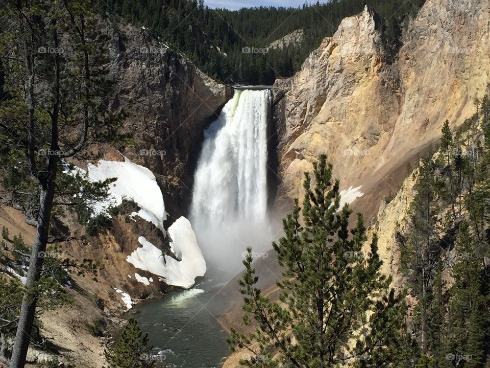 Yellowstone falls 