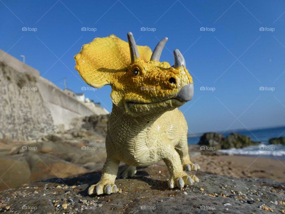 Dino on the rocks. Found this toy on the beach in Cornwall and photographed it