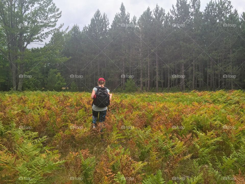 Hiking in northern Michigan 