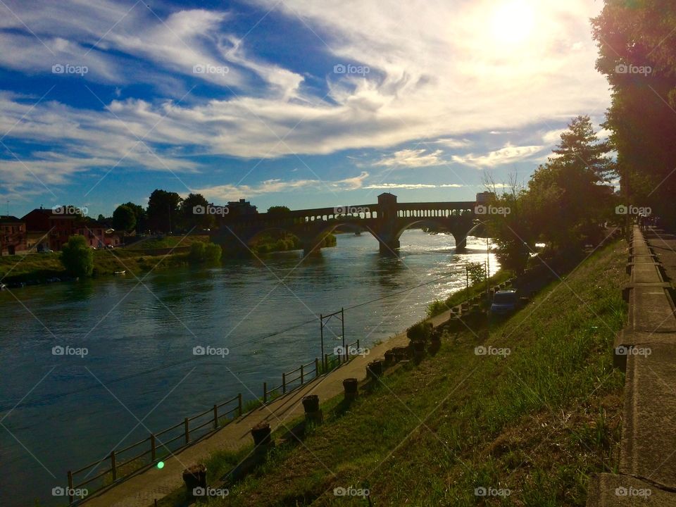 Pavia's bridge
