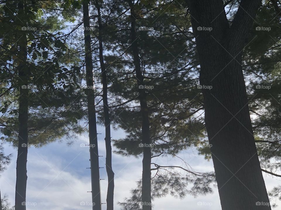 Falltime scenery in Connecticut